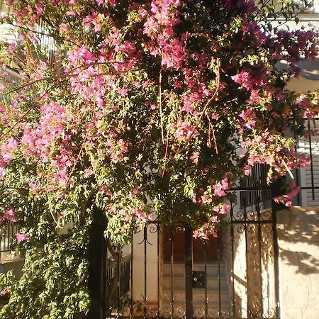 Apartment Zavrakli